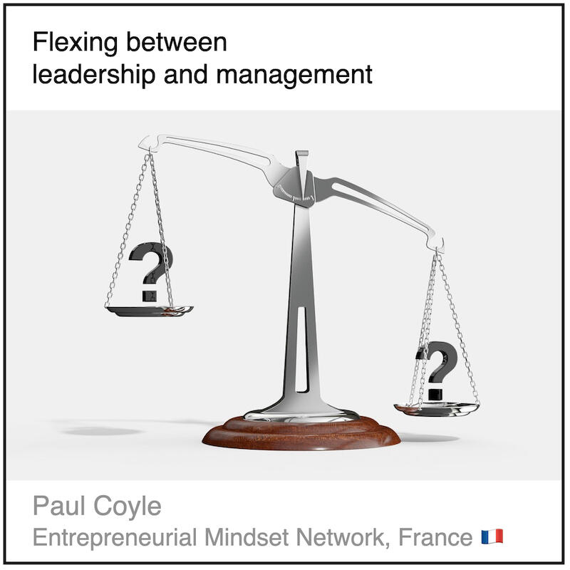 Download PDF: Flexing between leadership and management by Paul Coyle (Entrepreneurial Mindset Network, France).